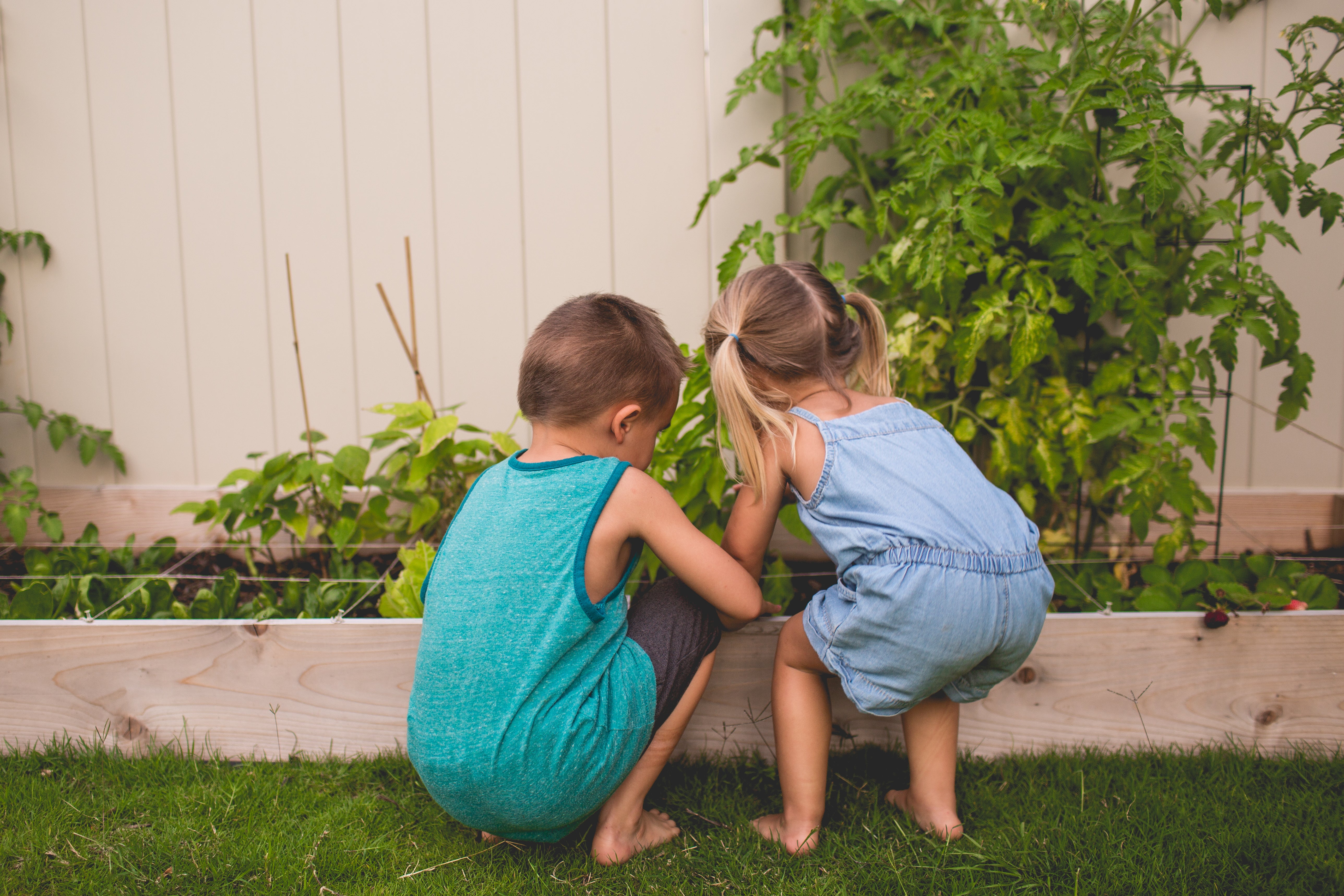 kids-checking-their-garden_t20_QQoxd6