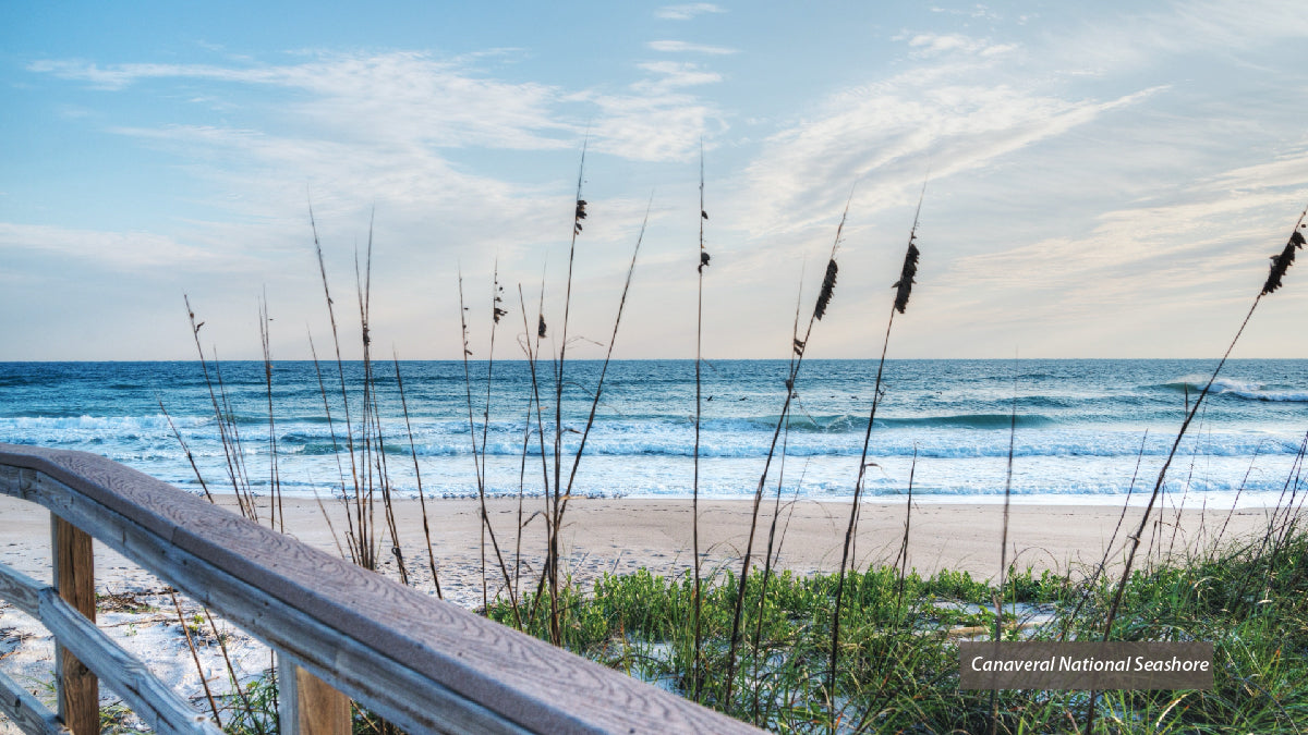 Canveral National Seashore