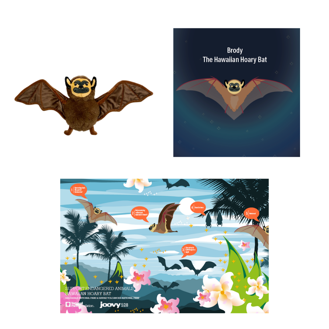 Brody The Hawaiian Hoary Bat Gift Set