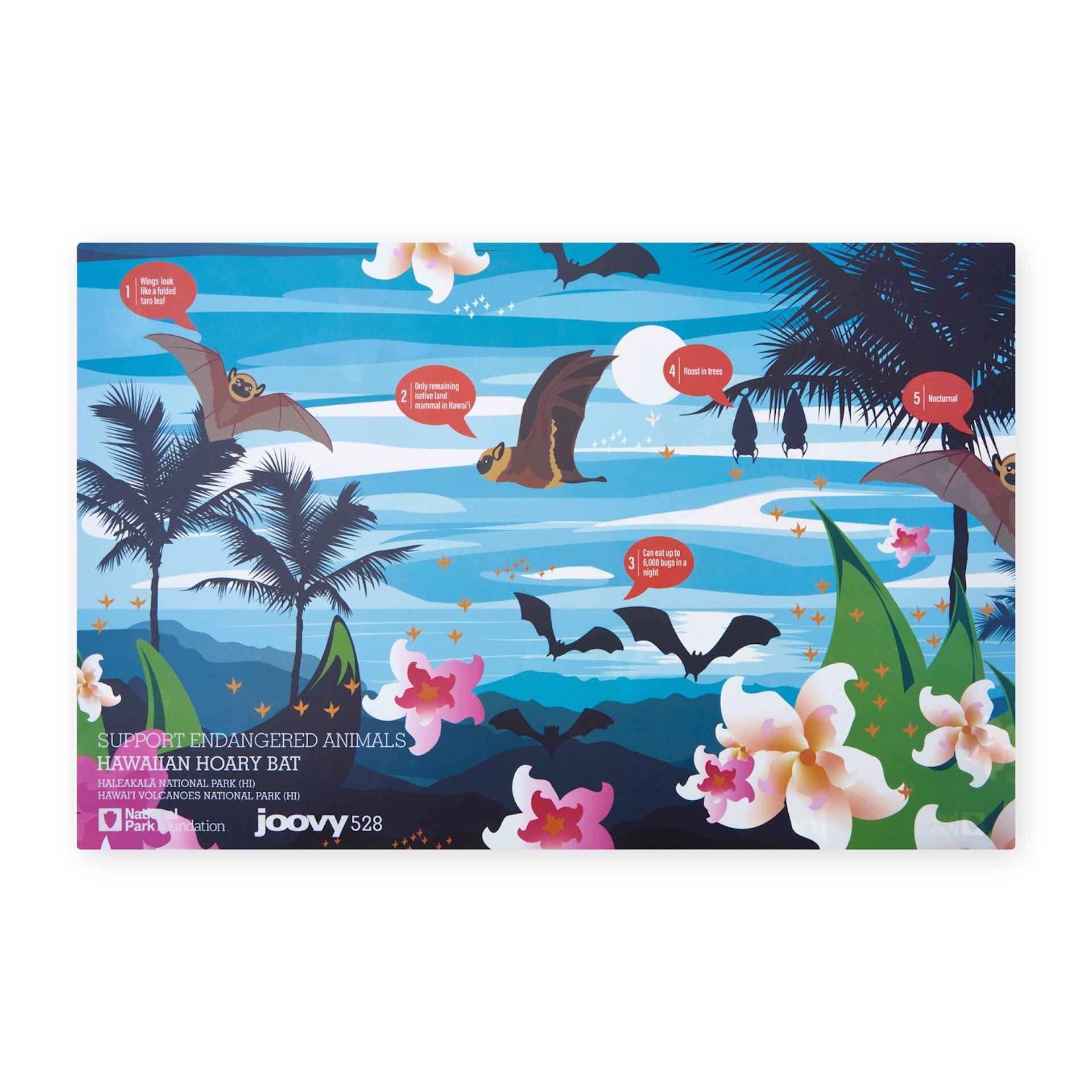 Brody The Hawaiian Hoary Bat Gift Set