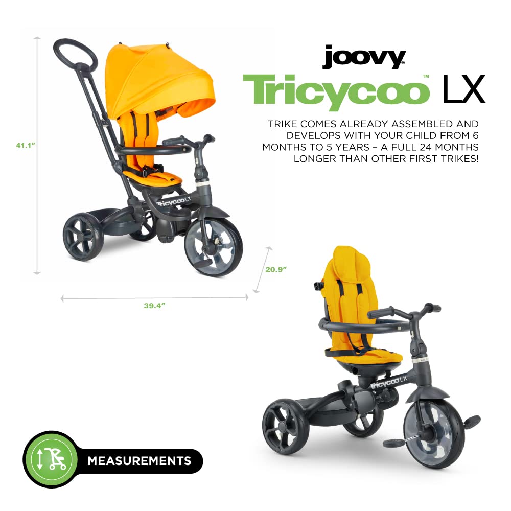 Tricycoo LX Premium Kids Tricycle First Trike - Zinnia